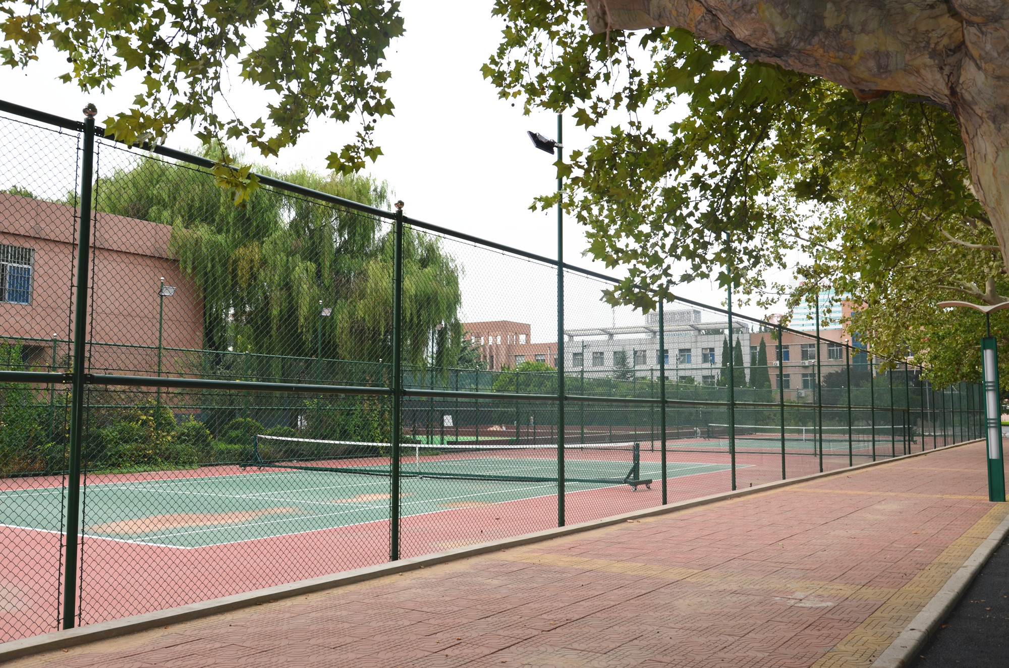 石子山体育公园网球场图片